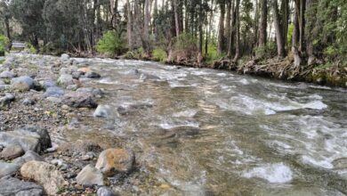 Solo dos ríos de Cuenca están en estado normal, dos en estado bajo en medio de la sequía hidrológica.